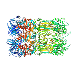 BU of 4eo2 by Molmil