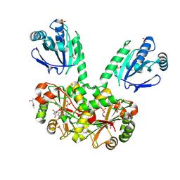 BU of 4eo3 by Molmil