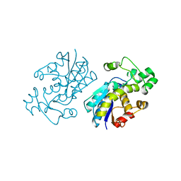 BU of 4eo9 by Molmil