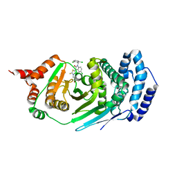 BU of 4epq by Molmil