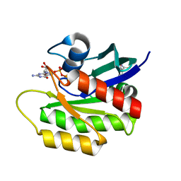 BU of 4ept by Molmil