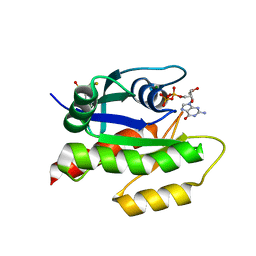 BU of 4epx by Molmil