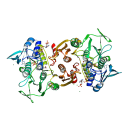 BU of 4eqs by Molmil