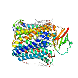 AU of 4esl by Molmil