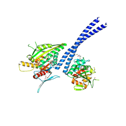 BU of 4etp by Molmil