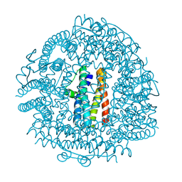 BU of 4evc by Molmil