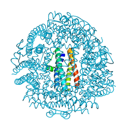 BU of 4evd by Molmil