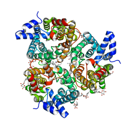 BU of 4ezc by Molmil