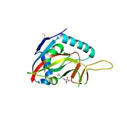 BU of 4f1q by Molmil