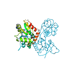 BU of 4f22 by Molmil