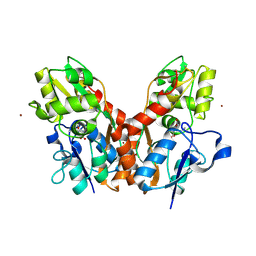 BU of 4f31 by Molmil