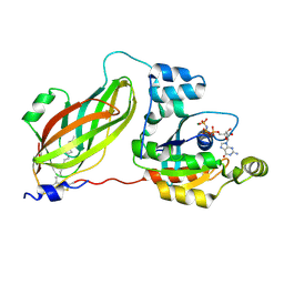 BU of 4f38 by Molmil