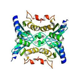 BU of 4f3w by Molmil