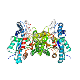 AU of 4f4g by Molmil