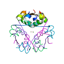 BU of 4f51 by Molmil