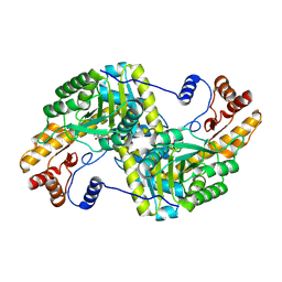 BU of 4f5g by Molmil