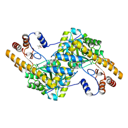 BU of 4f5i by Molmil