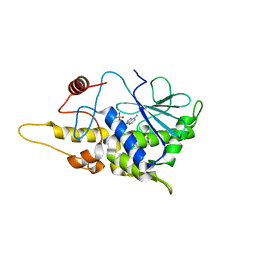 BU of 4fbc by Molmil