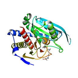 BU of 4fbe by Molmil