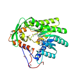 BU of 4fbg by Molmil