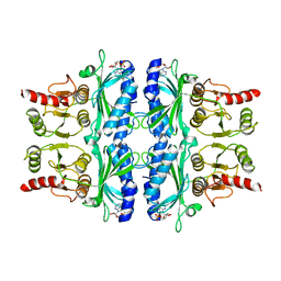 BU of 4fbp by Molmil