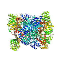 BU of 4fcc by Molmil