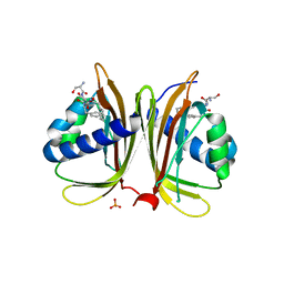 BU of 4fcm by Molmil