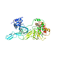 BU of 4fdg by Molmil