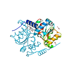 BU of 4fdv by Molmil