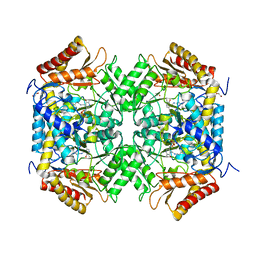 BU of 4ffc by Molmil