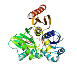 BU of 4ffl by Molmil