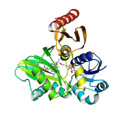 BU of 4ffp by Molmil