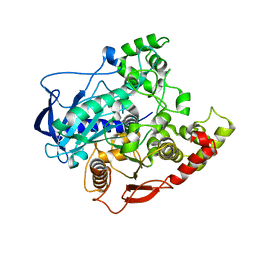 AU of 4fg5 by Molmil