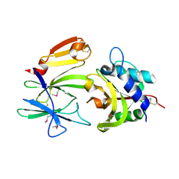 BU of 4fgi by Molmil