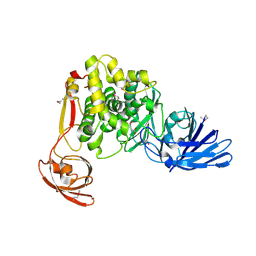 BU of 4fgm by Molmil