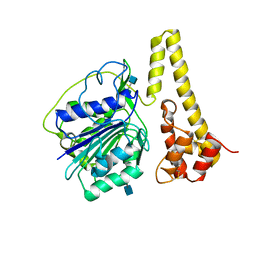 BU of 4fgu by Molmil