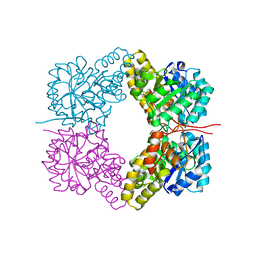 BU of 4fha by Molmil