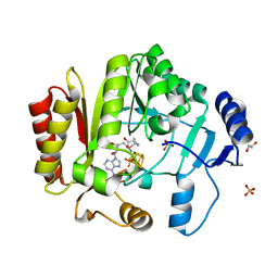 BU of 4fhg by Molmil