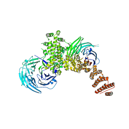 BU of 4fhn by Molmil