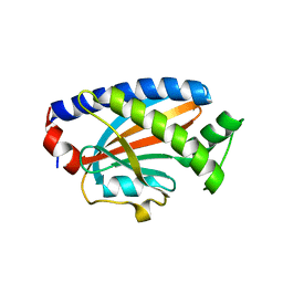 BU of 4fhr by Molmil