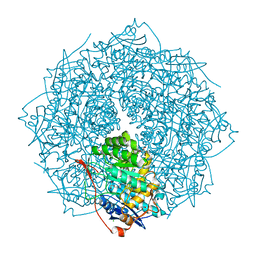 BU of 4fi4 by Molmil