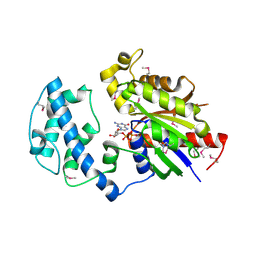 BU of 4fid by Molmil