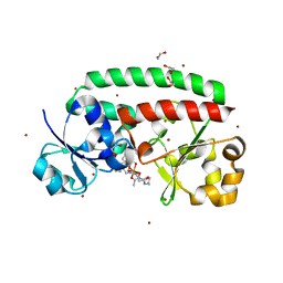 BU of 4fil by Molmil