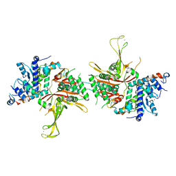 BU of 4fip by Molmil