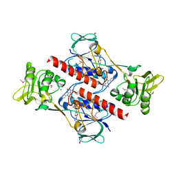 BU of 4fk1 by Molmil