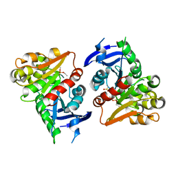 BU of 4flm by Molmil