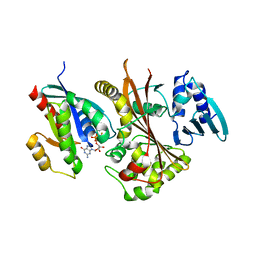 BU of 4fmd by Molmil