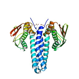 BU of 4fmt by Molmil