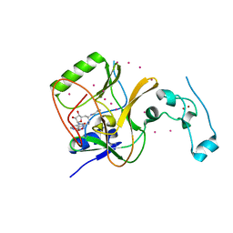 BU of 4fmu by Molmil