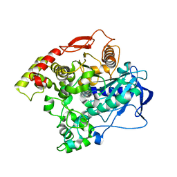 BU of 4fng by Molmil